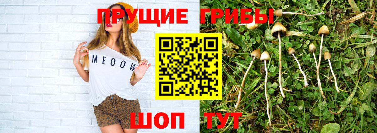 Псилоцибиновые грибы GOLDEN TEACHER  Галлюциногенные грибы мицелий  Сызрань  Вход с VPN 