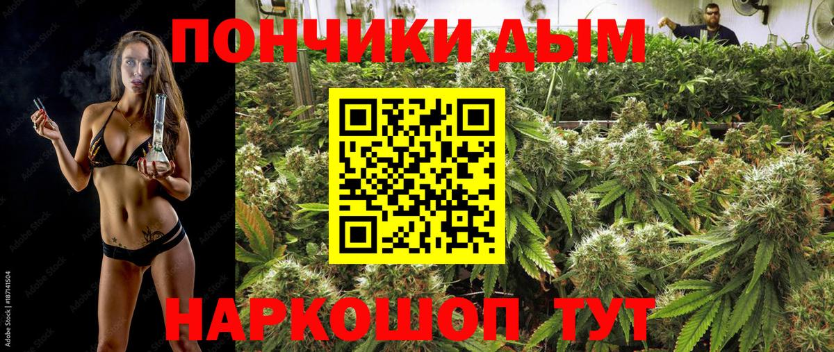 Каннабис семена  Шишки марихуана Amnesia  Сызрань  Вход с VPN  Канабис Bruce Banner  Конопля конопля 
